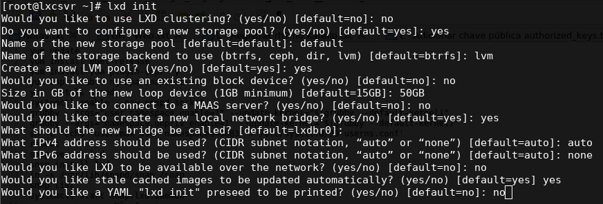 Resultado do comando lxc init